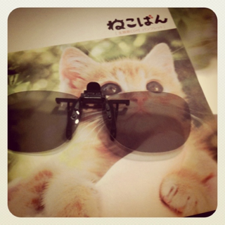 image-20110131231036.png